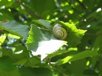 IMG_2531.JPG