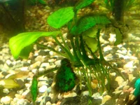 IMG_20130812_184148.webp