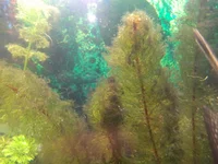 IMG_20130812_184158.webp