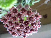 uOWVzkhD8ZX2EmaG.webp