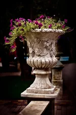 _DSC7688.webp