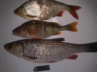 2013-08-13 23.19.38.webp