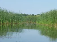 P101002437.JPG