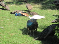 IMG_1637.JPG