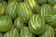 3285357_m.webp