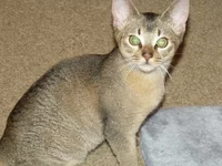 DSCF3102.webp