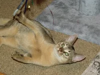 DSCF3100.webp