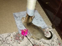 DSCF3107.webp