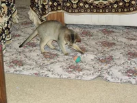 DSCF3111.webp