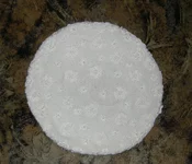 DSCN2417.jpg
