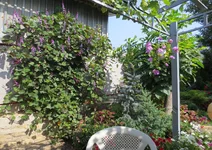 01.webp
