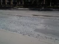 20130817_120514.webp