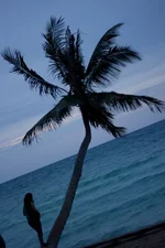 IMG_3281.webp