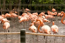 IMG_4162.webp