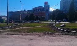 IMAG0138.webp