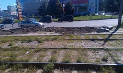 IMAG0139.webp