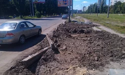 IMAG0140.webp