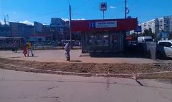 IMAG0148.webp