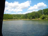 IMGP1021.webp