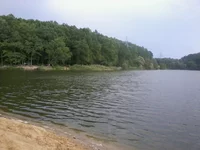 0_b08f3_b80cb781_orig.webp