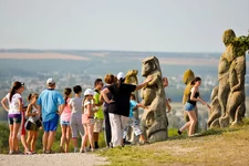183.webp