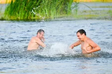 196.webp