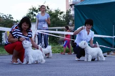 DSC077791.webp