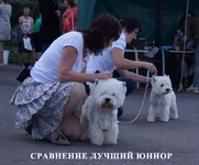 DSC078872.webp