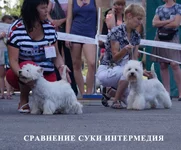 DSC079752.webp