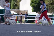 DSC080092.webp