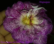 190820133280.webp