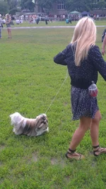 IMAG0471.webp