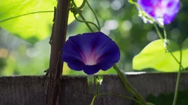 DSC00464.jpg