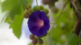 DSC00471-2.webp