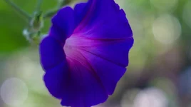 DSC00486-2.webp
