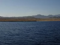  855.webp