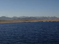  856.webp