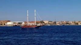  859 (1).webp