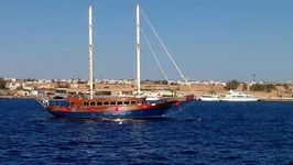  859 (2).webp