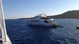  859 (4).webp
