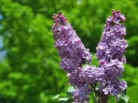 002.webp