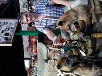 IMG_20130821_130745.jpg