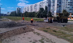 IMAG0152.webp