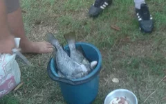20130718_084957.webp