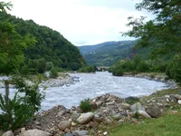  8-11июля 2013 011.webp