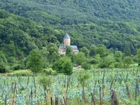  8-11июля 2013 249.webp
