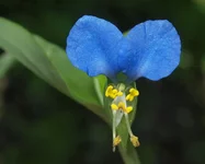  12-18 июля 2013 112.webp