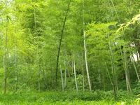  12-18 июля 2013 346.webp