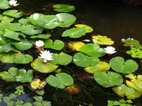  12-18 июля 2013 436.webp