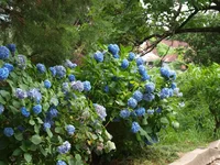  12-18 июля 2013 541.webp